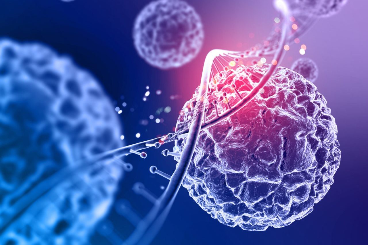 A técnica utiliza células de defesa do próprio paciente, modificadas em laboratório para reconhecer e atacar estruturas específicas presentes nas células cancerosas. No caso do mieloma múltiplo, o principal alvo é a proteína BCMA, enquanto alguns tipos de leucemia e linfoma utilizam a proteína CD-19 como referência.