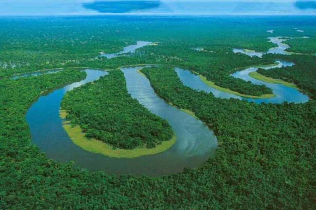 O mercúrio lançado no ambiente pode se acumular ao longo da cadeia alimentar e atingir os seres humanos por meio do consumo de pescado. Na Amazônia, essa é considerada a principal forma de exposição da população ao contaminante. Diante desse cenário, o relatório destaca que proteger os rios significa também preservar a segurança alimentar das comunidades e atividades econômicas dependentes dos recursos pesqueiros. A conservação da biodiversidade, portanto, está diretamente ligada às condições de