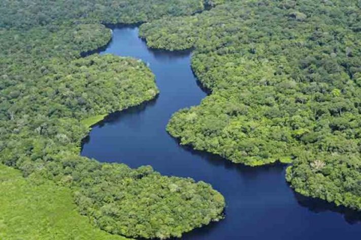 Diversidade de peixes na Amazônia