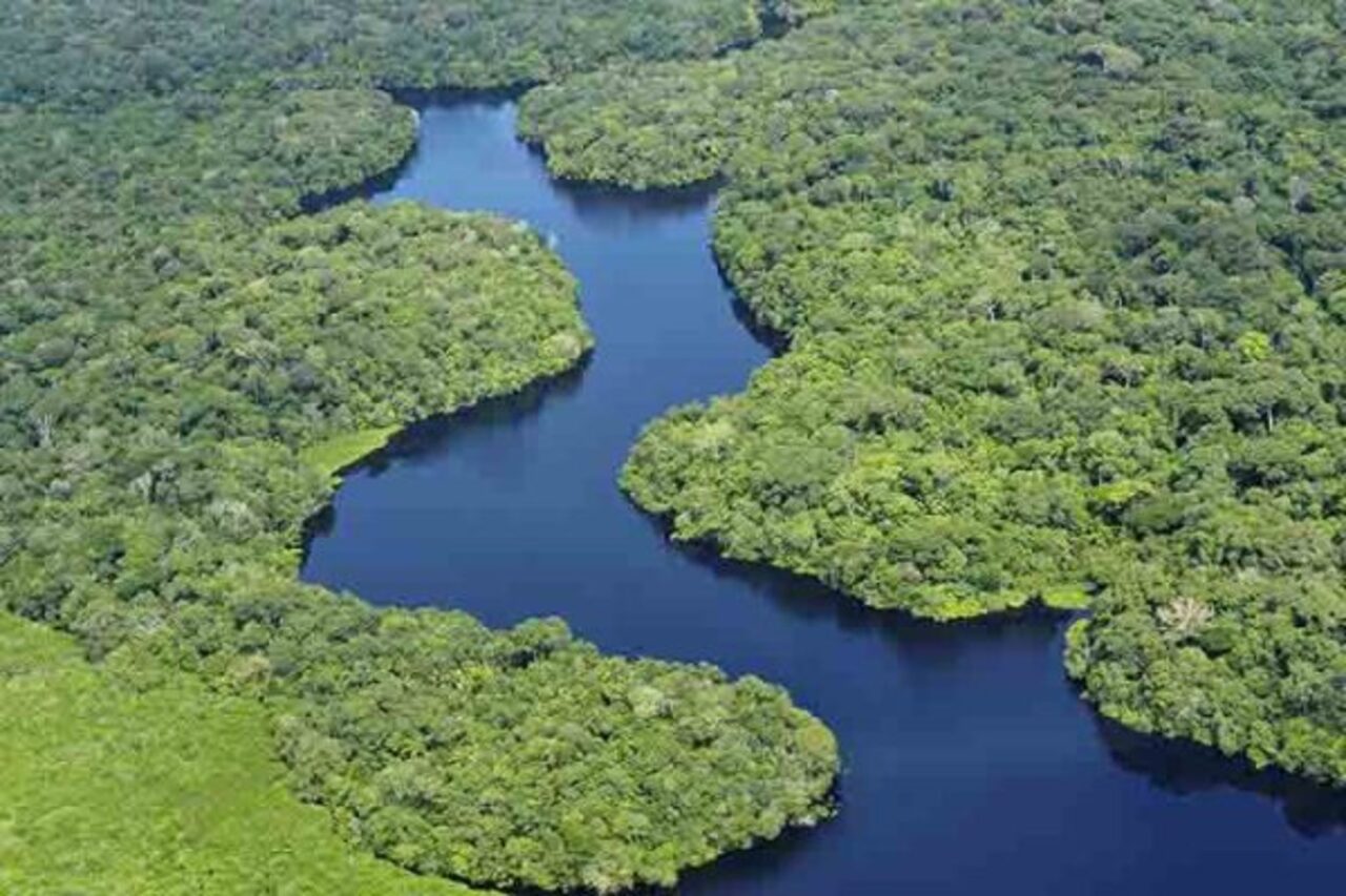 A Bacia Amazônica concentra uma das maiores diversidades de peixes de água doce do planeta. São mais de 2,7 mil espécies identificadas, o que corresponde a cerca de 15% de todas as espécies conhecidas no mundo. Aproximadamente dois terços desses peixes são encontrados exclusivamente na região. Os números estão na quarta edição do relatório “Peixes Esquecidos da Amazônia”, liderado pela The Nature Conservancy (TNC) com a participação de mais de 50 especialistas de 30 organizações.
 -  (crédito: Neil Palmer/Wikimedia Commons)