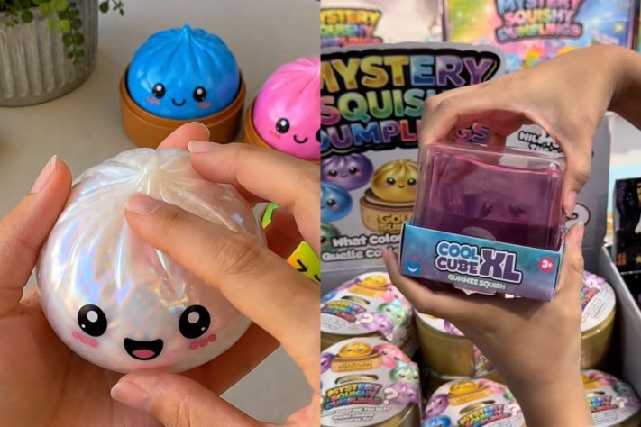 Busca por 'squishy' bate recorde no Brasil; brinquedo que virou febre no TikTok – Reprodução/Redes Sociais