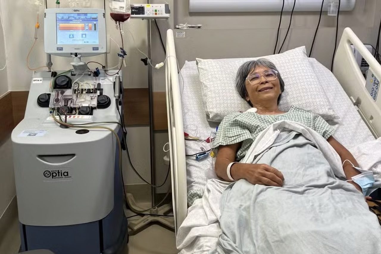 O hemograma apontou uma anemia severa e, em outubro de 2024, o diagnóstico de mieloma múltiplo foi confirmado por um hematologista. Cinco meses depois, em dezembro, Celina começou a quimioterapia e, em maio de 2025, passou por um transplante de medula óssea. -  (crédito: Arquivo Pessoal)