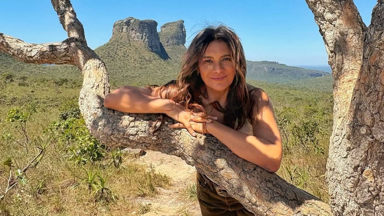 Dira Paes interpretará Rosenda, uma sertaneja que criou os filhos praticamente sozinha depois que o marido, Severino, vivido por Daniel de Oliveira, viajou para São Paulo e desapareceu. Ela mora como arrendatária na fazenda de Almerindo, personagem de Mateus Solano.
