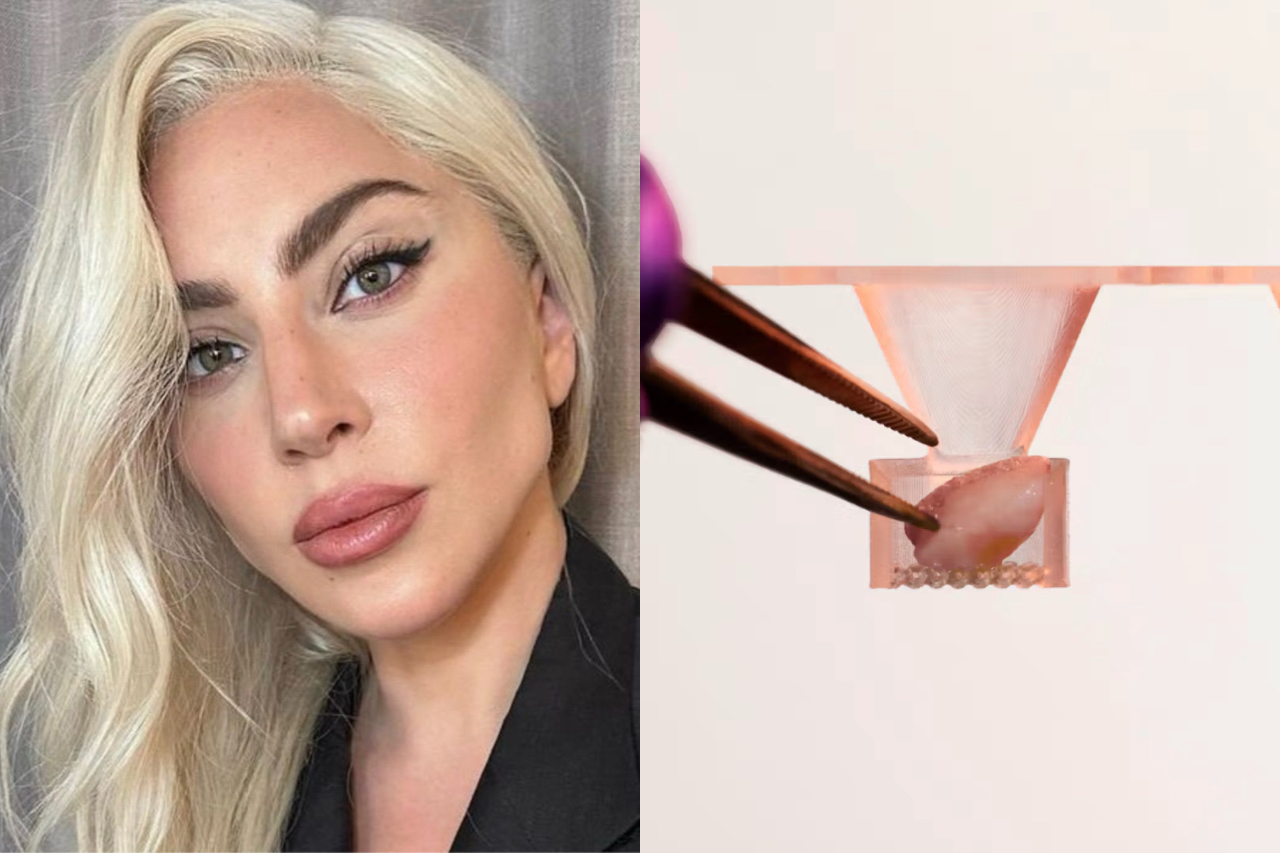 No fim de agosto, a cantora Lady Gaga revelou ao público uma atuação pouco conhecida fora da música: há anos, a cantora integra de forma discreta o conselho da Outer Bio, uma startup de biotecnologia sediada em Massachusetts que pesquisa novas soluções para a saúde da pele. -  (crédito: Reprodução/Instagram/Divulgação)