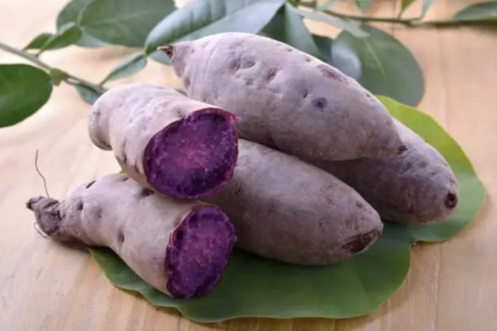 Nativo das Filipinas, o ube é um tubérculo que se tornou fenômeno global por sua marcante pigmentação roxa – Divulgação