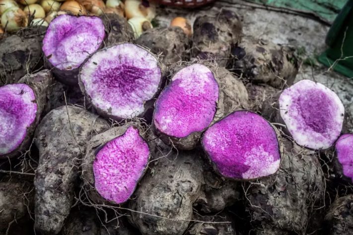 Nativo das Filipinas, o ube é um tubérculo que se tornou fenômeno global por sua marcante pigmentação roxa – PxHere/Creative Commons