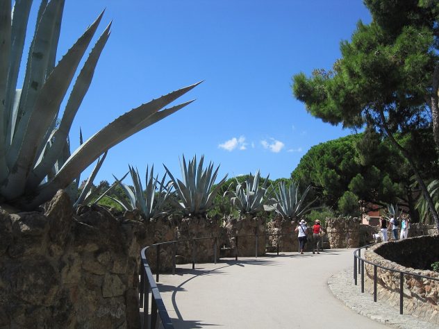 Atmosfera de Paz