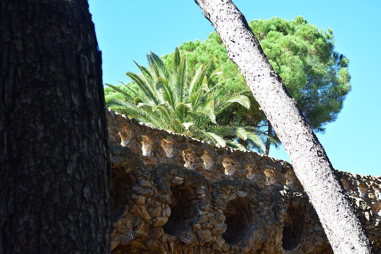 Gaudí projetou o parque para se fundir com o ambiente natural da colina de Carmel. Caminhos sinuosos acompanham o relevo, evitando cortes bruscos na paisagem. As colunas e viadutos imitam troncos e raízes, criando a sensação de estar em uma floresta mágica. Essa integração reforça a filosofia orgânica do arquiteto. O visitante sente-se parte de um ecossistema artístico.