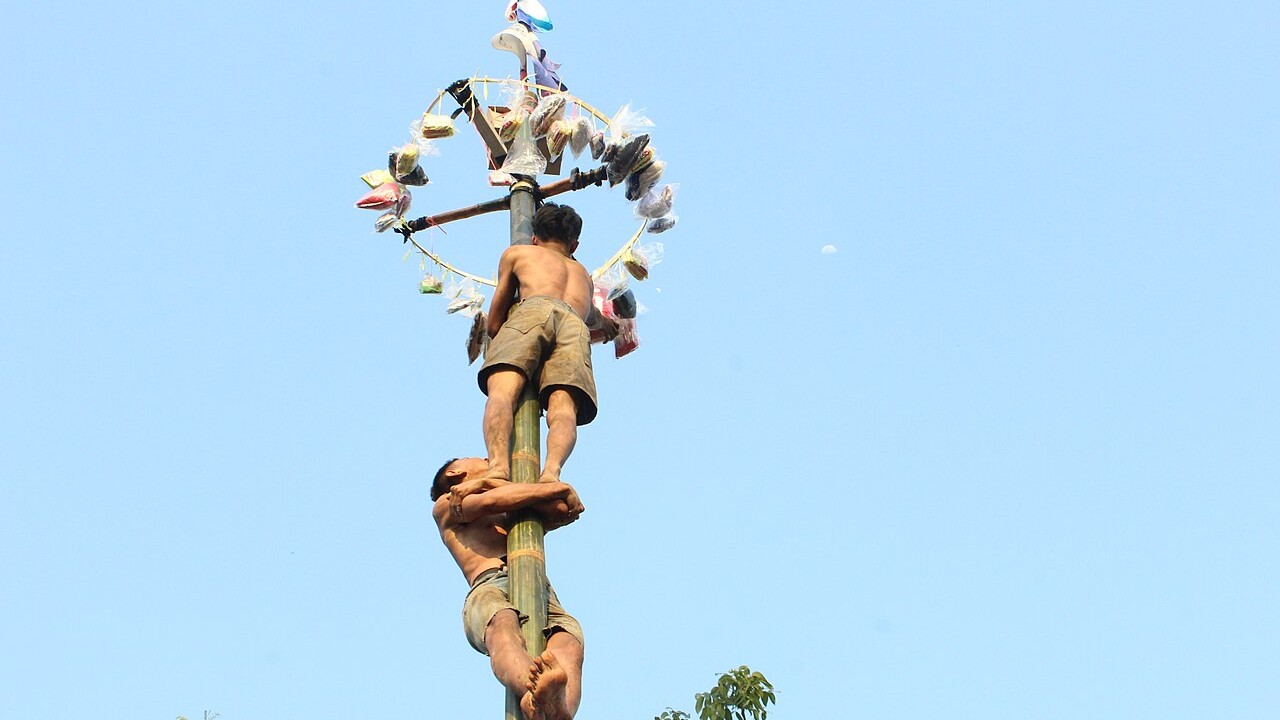 Em Salvador, a brincadeira era comum em festas populares até meados dos anos 1950. O fotógrafo Pierre Verger registrou o pau-de-sebo em 1948, durante a tradicional festa de Nossa Senhora da Conceição da Praia, celebrada em 8 de dezembro. A brincadeira também fazia parte das celebrações de Nossa Senhora da Purificação, realizadas em Santo Amaro, no Recôncavo Baiano. Depois, a tradição se espalhou e se tornou um dos símbolos das festas juninas do Nordeste.
