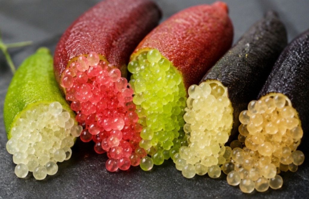 O preço elevado é uma das características que chamam atenção no limão-caviar. Em lojas especializadas, uma porção de apenas 100 gramas pode custar entre R$ 50 e R$ 100 — e há estabelecimentos que cobram ainda mais. Isso significa que o valor do quilo pode se aproximar ou ultrapassar R$ 1 mil, dependendo da variedade, da oferta e do local de venda.