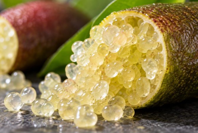 Limão-caviar: conheça a fruta exótica que pode custar R$ 1 mil o quilo