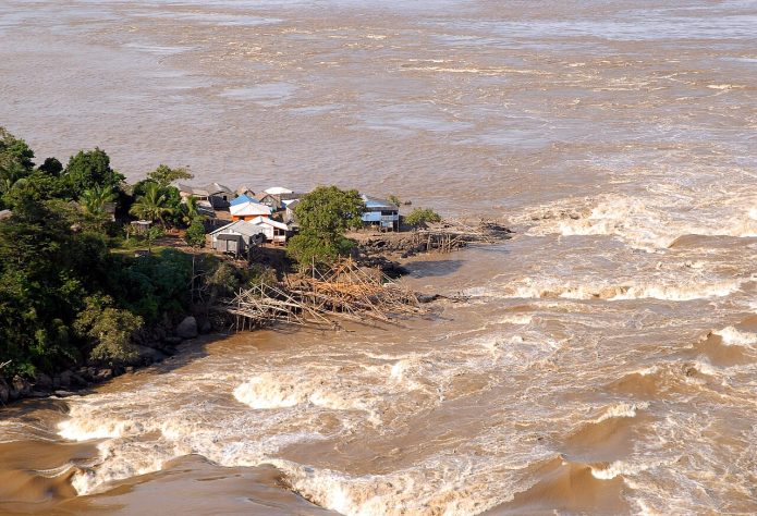 Diversidade de peixes na Amazônia