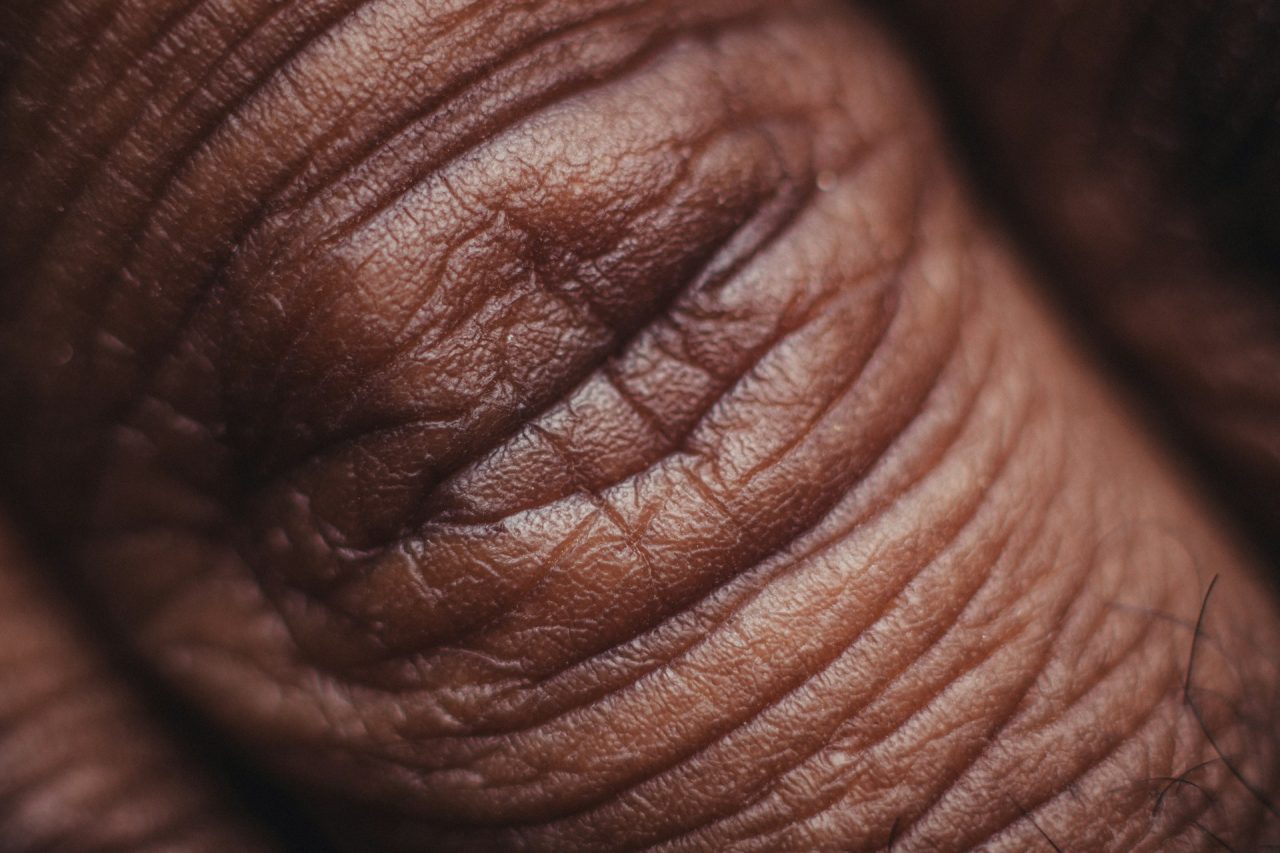Embora o primeiro foco esteja em produtos destinados ao consumidor, a companhia pretende utilizar a mesma tecnologia em pesquisas dermatológicas e no desenvolvimento de medicamentos. Um estudo preliminar divulgado em 2026 indicou que a plataforma conseguiu reproduzir condições associadas à inflamação crônica, ao envelhecimento dos tecidos e aos efeitos de fatores ambientais sobre a pele.