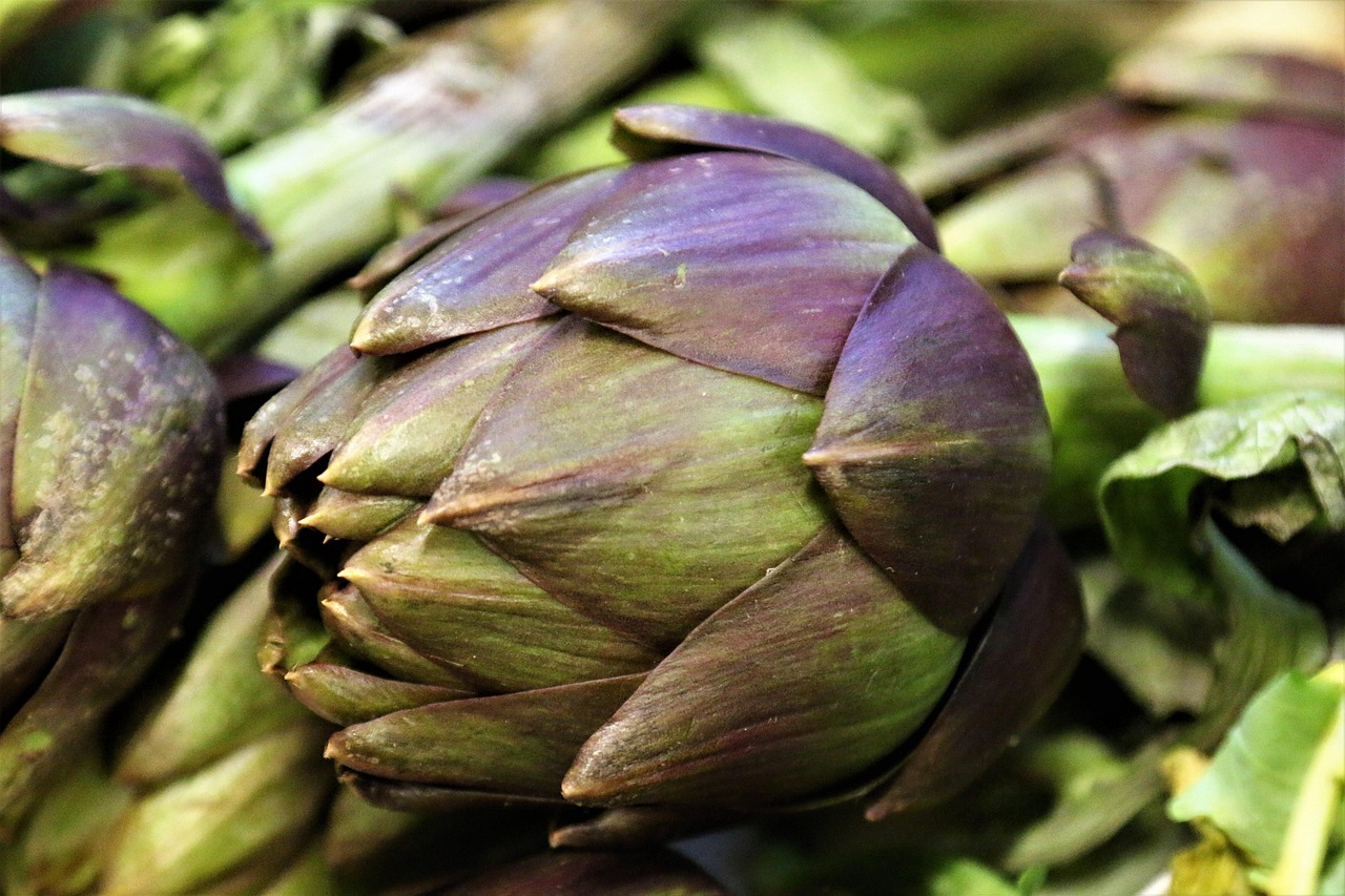 A alcachofra fornece fibras e apresenta minerais, vitaminas e compostos antioxidantes. Apesar dessa composição interessante, nenhum alimento isolado previne ou trata doenças: seus benefícios dependem de uma alimentação equilibrada e de hábitos saudáveis.