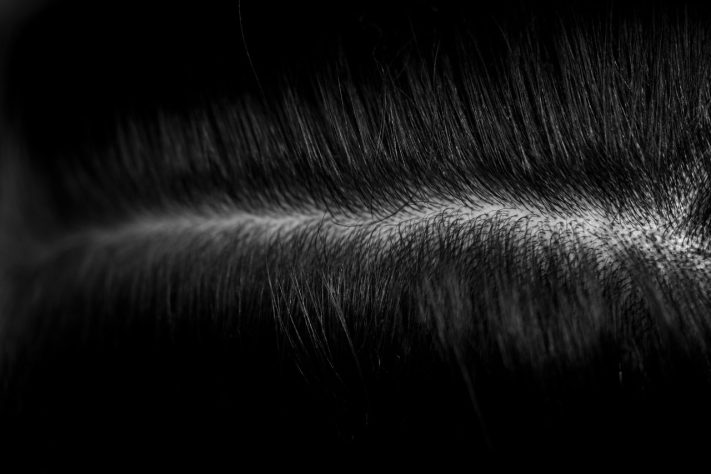 Nova tendência de skincare, 'scalp care' ganha espaço e muda a forma de cuidar dos cabelos – Teslariu Mihai/Unsplash