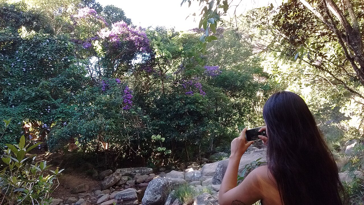 A visitação ao parque ocorre por diferentes acessos e envolve atrativos distribuídos pelos seis municípios que fazem parte da unidade. O ICMBio informa que existem 38 trilhas de entrada e que muitas delas apresentam condições rústicas, sem sinalização ou cobertura de telefonia celular. Por isso, o órgão recomenda planejamento prévio e atenção às características de cada percurso. A contratação de condutores pode ser importante especialmente em travessias e locais de maior complexidade. A estrutur