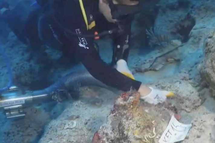 Naufrágio de quase 5 mil anos é descoberto na costa da Turquia – Reprodução/TV Globo