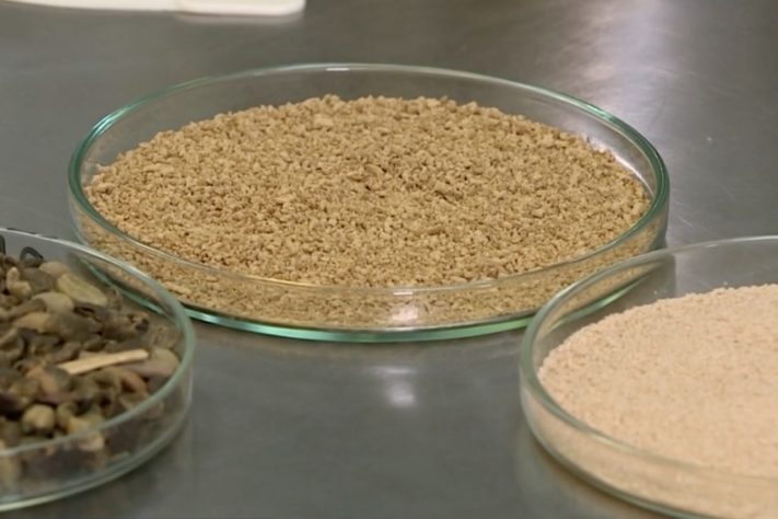 Cientistas brasileiros desenvolvem açúcar que é absorvido de forma mais lenta pelo organismo – Reprodução/TV Globo