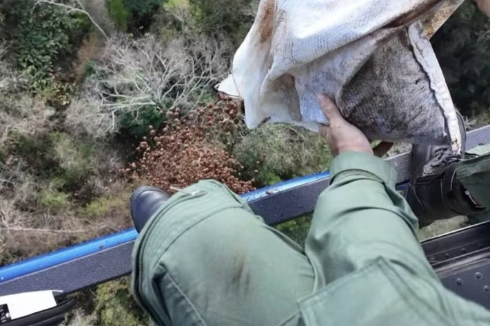 Helicóptero espalha 2,6 milhões de sementes para acelerar reflorestamento da Mata Atlântica no ES – Reprodução/TV Gazeta