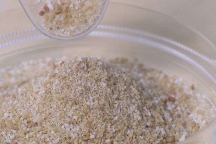 Cientistas brasileiros desenvolvem açúcar que é absorvido de forma mais lenta pelo organismo – Reprodução/TV Globo