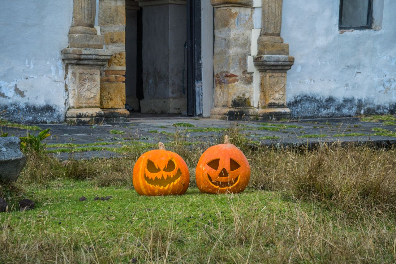 A principal mudança aconteceu no século 19, com a imigração em massa de irlandeses e escoceses para a América do Norte. No novo continente, os vegetais tradicionais deram lugar à abóbora, fruto nativo, abundante, maior e com casca mais fácil de esculpir.
