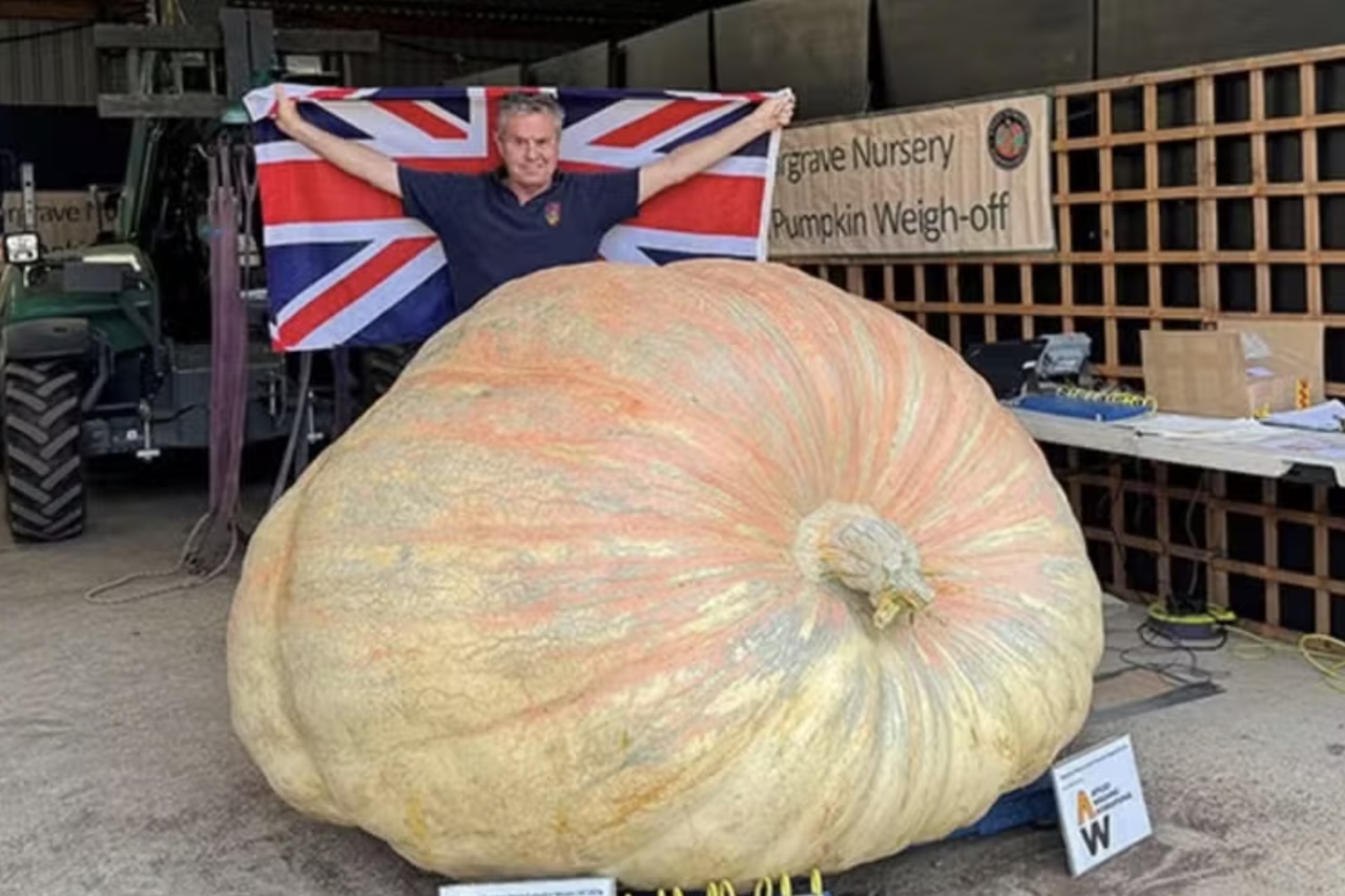 O recorde anterior pertencia ao britânico Ian Paton, morador de Lymington, na Inglaterra, que colheu uma abóbora de 1.296 kg. Segundo o Guinness, o recorde atual é histórico, pois o fruto foi o primeiro a ultrapassar 1.360 kg, quantidade suficiente para preparar mais de três mil tortas. -  (crédito: Divulgação/Guinness World Records)
