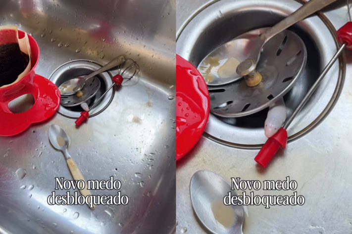 Cobra-de-duas-cabeças surge em ralo da pia de apartamento e assusta moradora no Paraná – Reprodução/Instagram