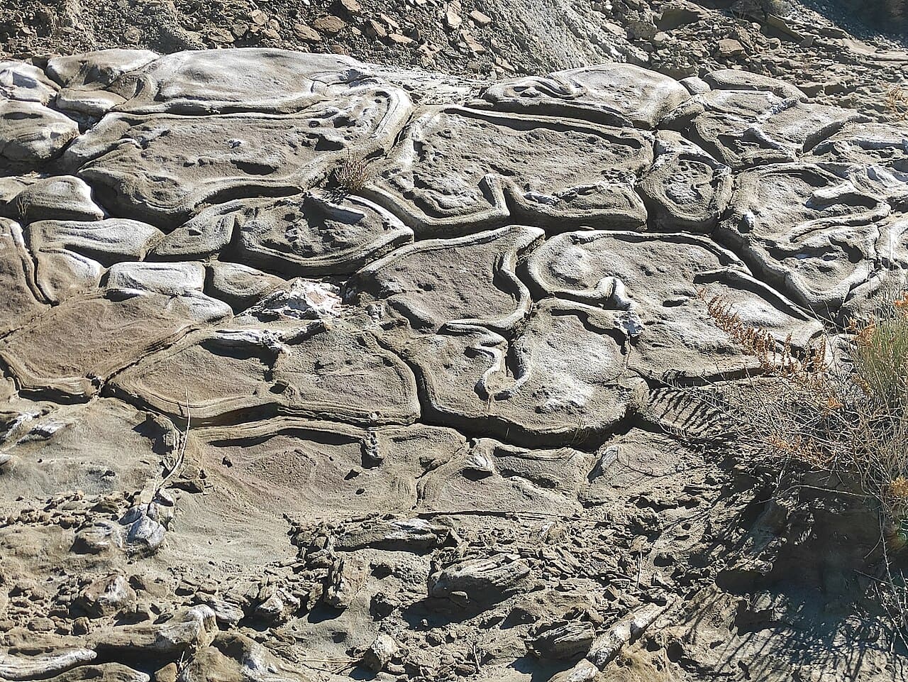 Situado na província de Almería, o Deserto das Tabernas é considerado o único deserto oficial da Europa e sua extensão cobre por volta de 280 quilômetros quadrados de terreno árido e fascinante. A baixa pluviosidade e o clima semiárido moldam sua paisagem peculiar em um contraste marcante com o restante verdejante da Espanha.