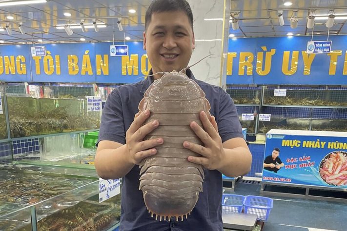 Isópode gigante – Wikimedia Commons/Dr. Nguyen Thanh So