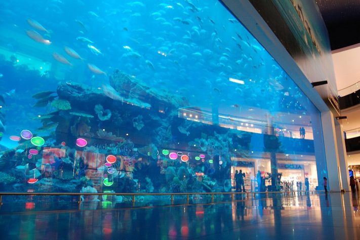 Aquarium & Underwater Zoo, Dubai Mall, Emirados Árabes Unidos – Wikimedia Commons/Frank Seiplax