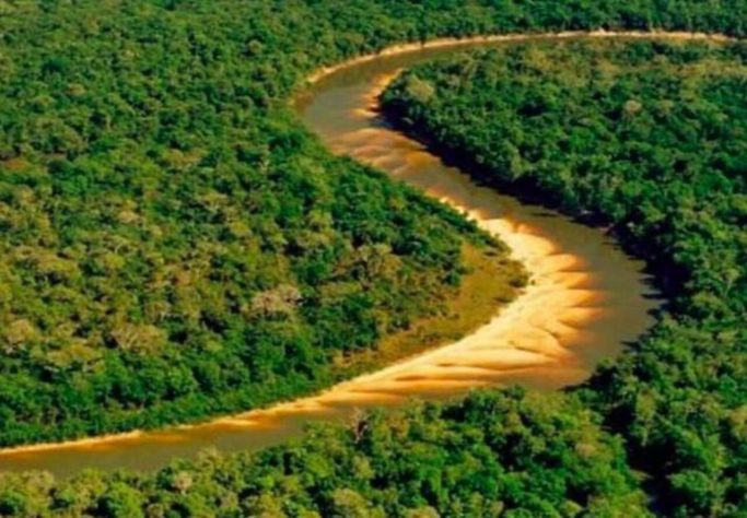 Estado do Tocantins