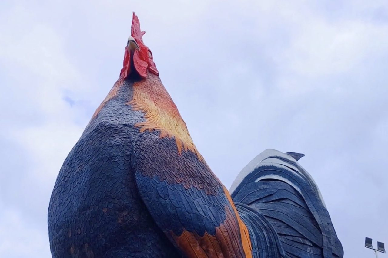 Segundo Ricardo, o animal representa atributos como coragem, força e resistência, características que ele associa à população local. A execução do projeto exigiu soluções estruturais específicas, sobretudo por causa das condições climáticas das Filipinas, país frequentemente atingido por tufões e tempestades tropicais.