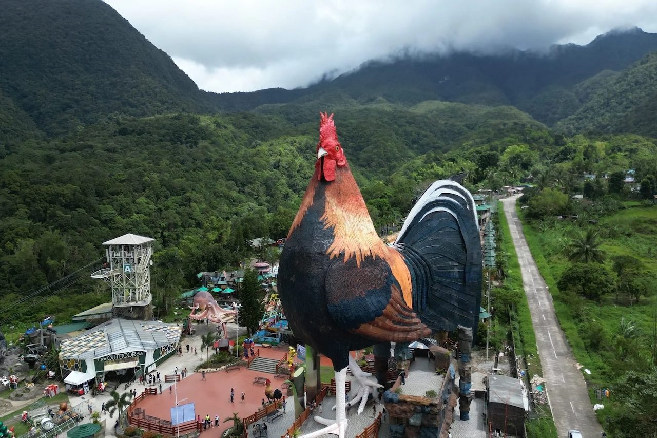 Manok ni Cano Gwapo, hotel em formato de galo gigante virou atração turística nas Filipinas – Divugação/Campuestohan Highland Resort