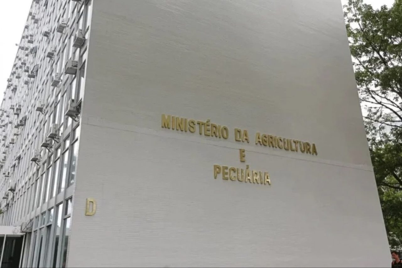 A fiscalização realizada pelo Mapa é feita de forma rotineira em portos, aeroportos, fronteiras terrestres e outros pontos de entrada no território nacional. Nessas operações, os agentes verificam mercadorias, embalagens e demais materiais relacionados ao comércio exterior que possam transportar organismos capazes de ameaçar a agropecuária.