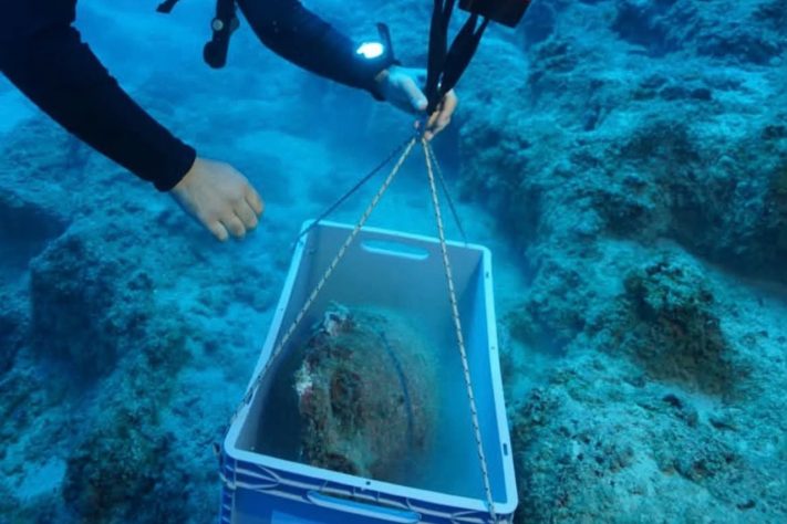 Naufrágio de quase 5 mil anos é descoberto na costa da Turquia – Reprodução @hakan.oniz