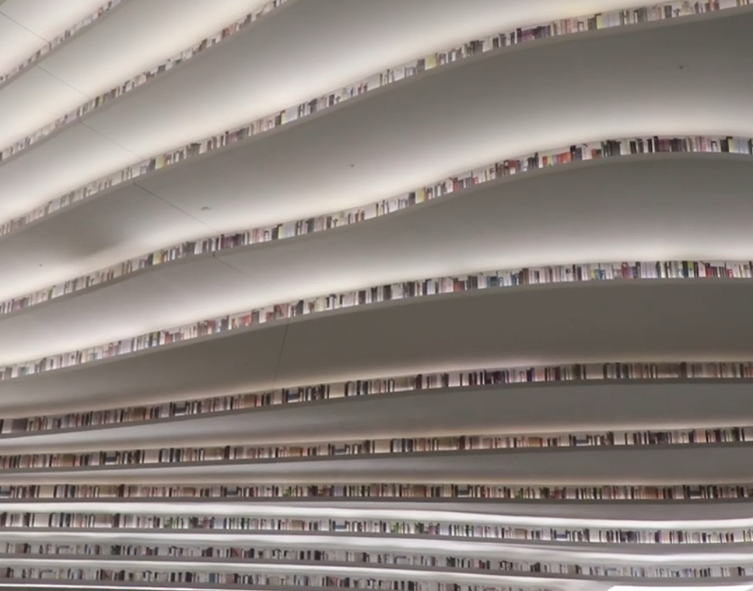As estantes onduladas foram projetadas para exercer várias funções: armazenar livros, criar áreas de circulação e oferecer espaços onde os visitantes podem sentar. Elas também contornam o auditório esférico central e formam a identidade visual do átrio.