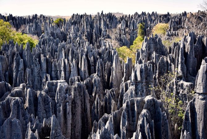 Tsingy de Bemaraha: a impressionante floresta de pedras de Madagascar