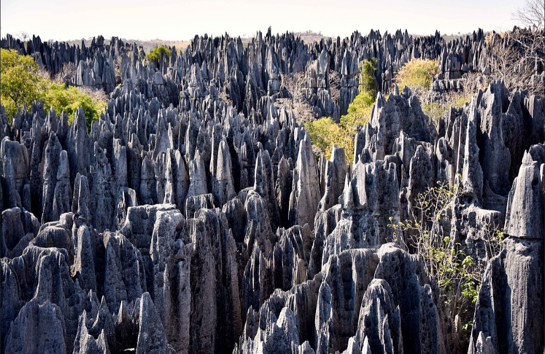 Em Madagascar, uma paisagem extraordinária chama a atenção por suas enormes formações rochosas, que lembram uma floresta de agulhas de pedra. O Tsingy de Bemaraha reúne desfiladeiros, cavernas e uma biodiversidade surpreendente em um cenário moldado pela natureza durante milhões de anos. -  (crédito: Rod Waddington wikimedia commons )