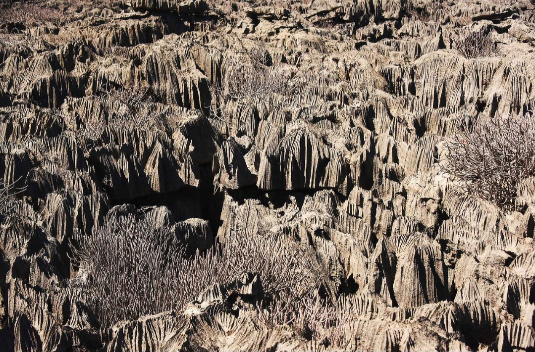 Localizado no oeste da ilha africana, o lugar é considerado um dos ambientes naturais mais singulares do planeta. Suas estruturas pontiagudas, algumas com dezenas de metros de altura, criam um verdadeiro labirinto de rochas que desafia visitantes e pesquisadores.