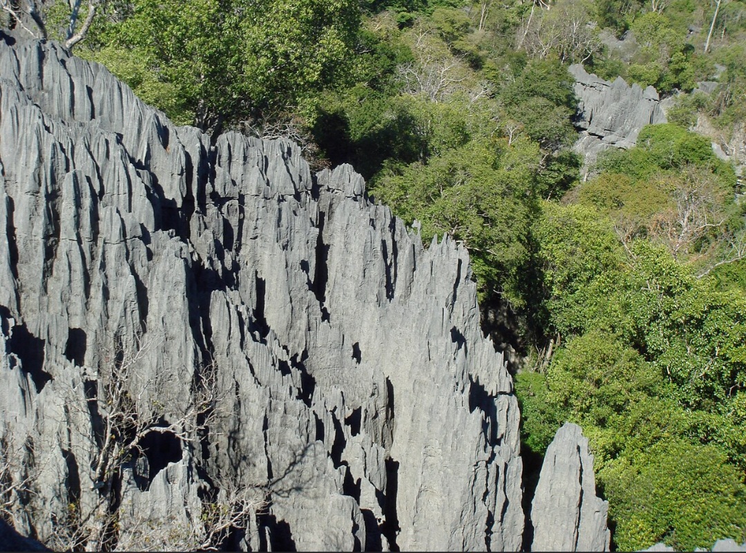 O parque apresenta duas áreas de visitação conhecidas como Pequenos Tsingy e Grandes Tsingy. A primeira possui percursos relativamente mais acessíveis, enquanto a segunda reúne formações imponentes, desníveis acentuados e trajetos que exigem maior preparo físico.
