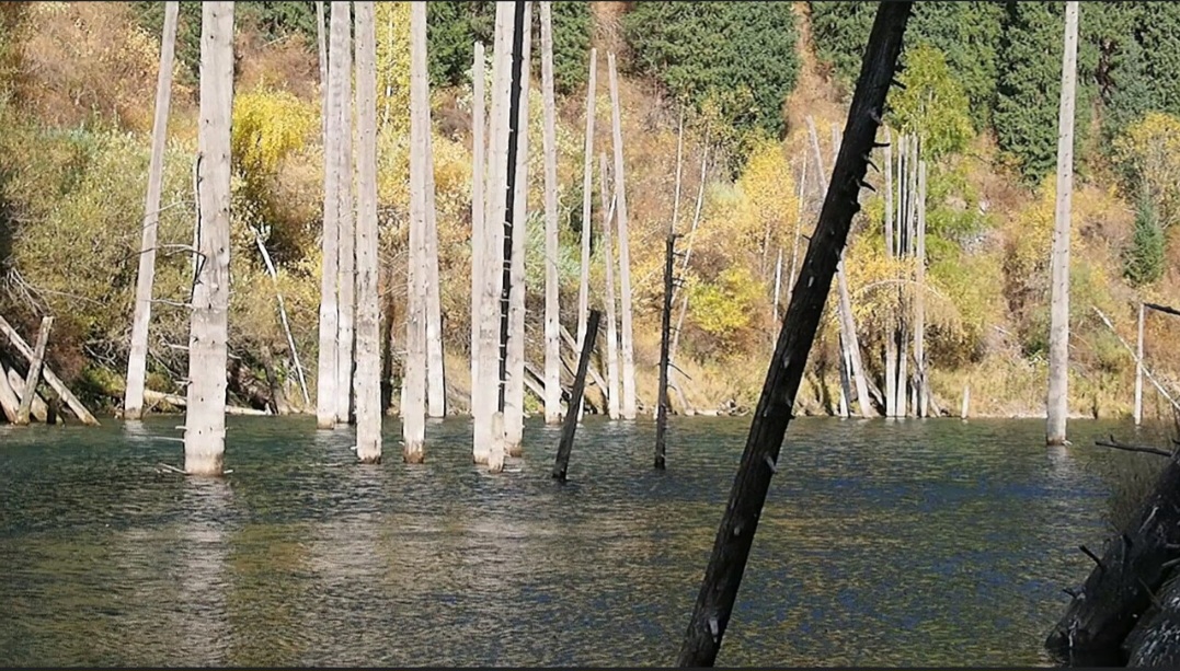 O aspecto mais curioso do lago é a presença de árvores que continuam na posição vertical, mesmo depois de mais de um século submersas. Os troncos que ultrapassam a superfície perderam galhos e cascas, lembrando mastros de embarcações abandonadas. 