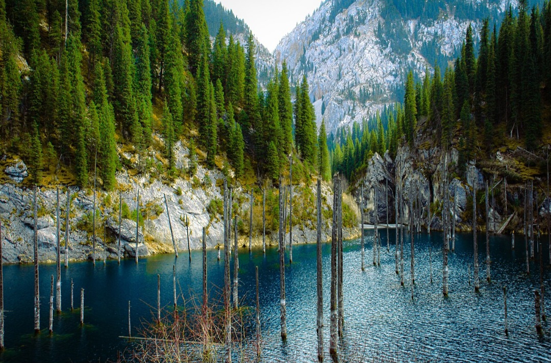 O Lago Kaindy apresenta tonalidades que variam entre o azul-turquesa e o verde-esmeralda. A presença de partículas minerais, a transparência da água e as condições de iluminação influenciam sua aparência. O contraste com os troncos esbranquiçados torna a paisagem ainda mais singular.