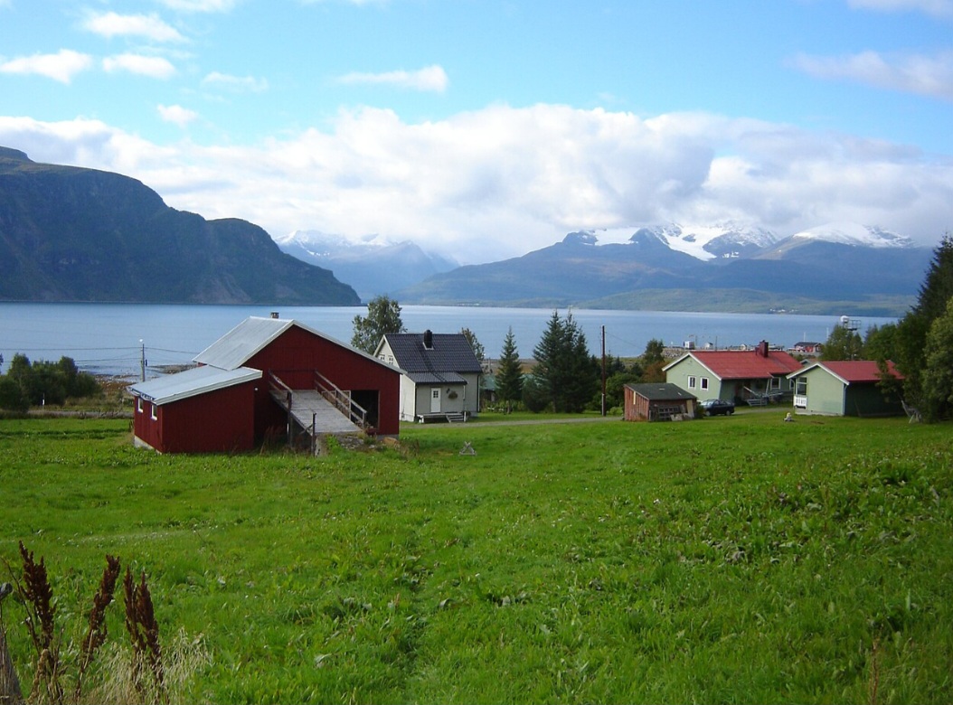 O Kvæfjordkake surgiu na região de Kvæfjord, no norte da Noruega, e ganhou popularidade ao longo do século XX. Seu nome faz referência ao município onde a receita se tornou uma tradição da confeitaria local.