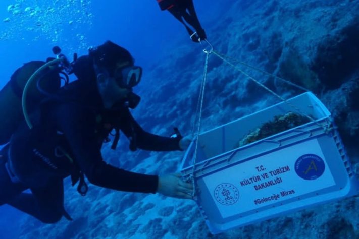 Naufrágio de quase 5 mil anos é descoberto na costa da Turquia – Reprodução @hakan.oniz