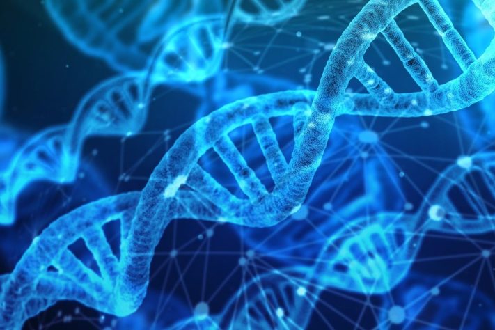 DNA – Gerd Altmann/Pixabay