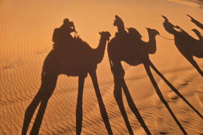 Camelos no deserto – Hasmik Ghazaryan Olson/Unsplash