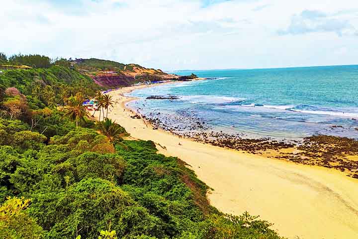 Esses â??cemitÃ©riosâ? de lixo trazem prejuÃ­zos ao turismo, dada a poluiÃ§Ã£o das praias, e representam riscos para as espÃ©cies animais que vivem nessas Ã¡reas. 
