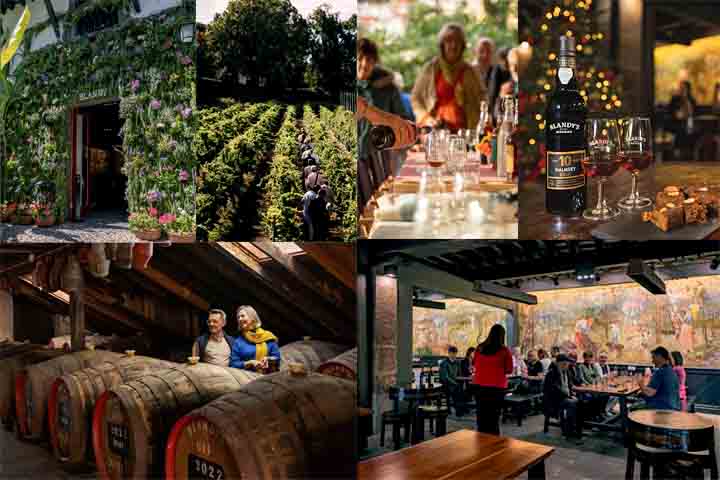 Com fácil acesso de Lisboa e boa infraestrutura, a ilha é ideal para quem deseja explorar um dos destinos mais autênticos de Portugal, com ótima relação custo-benefício. Vamos conhecer alguns de seus pontos turísticos mais famosos? Venha com o Flipar.