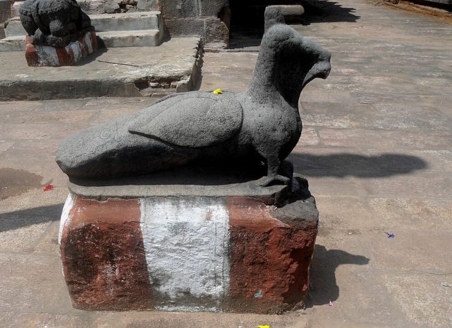 Pavão