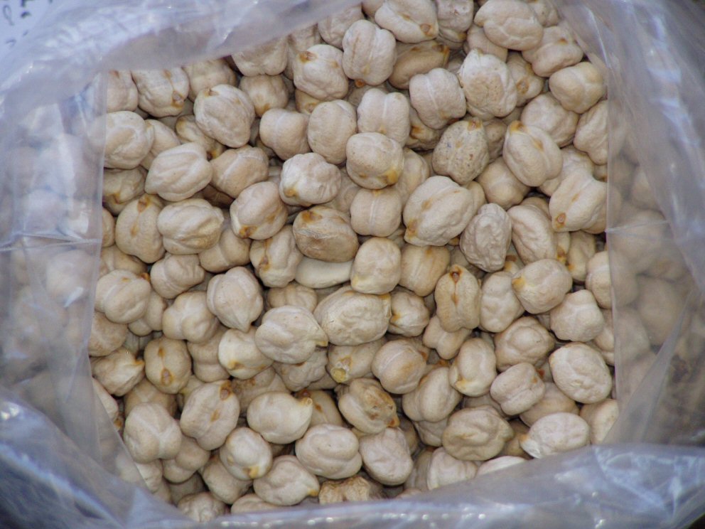 Regula o colesterol: graças às fibras solúveis presentes no grão-de-bico, ele ajuda a reduzir a absorção de gorduras no intestino, contribuindo para o equilíbrio dos níveis de colesterol no sangue.